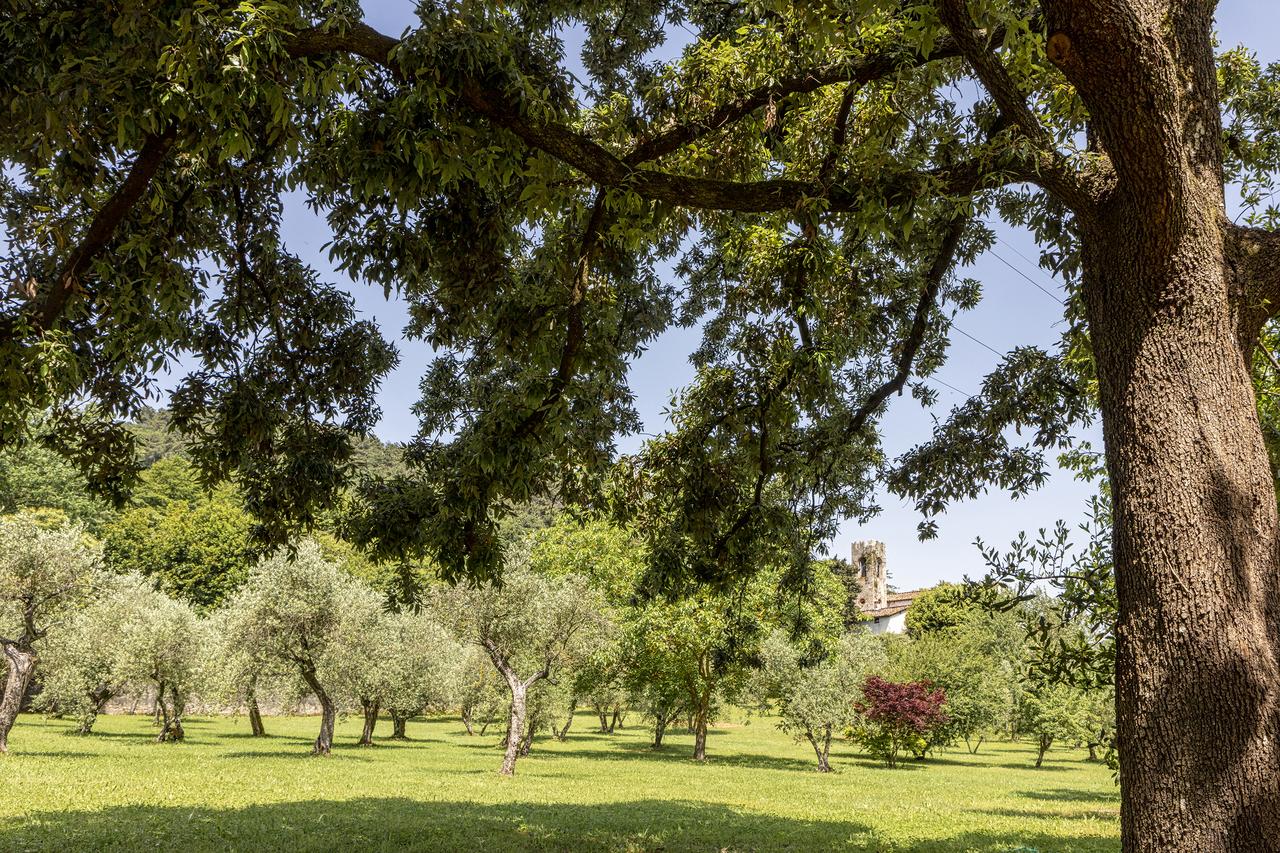 giardino-villa-san-michele Hotel Villa San Michele